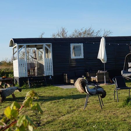 Bed And Breakfast Het Schapenlandje Waarland Екстериор снимка